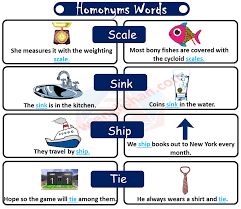 100 Homonym Words List With Sentences Englishan 100 Homonym Words List With Sentences Englishan