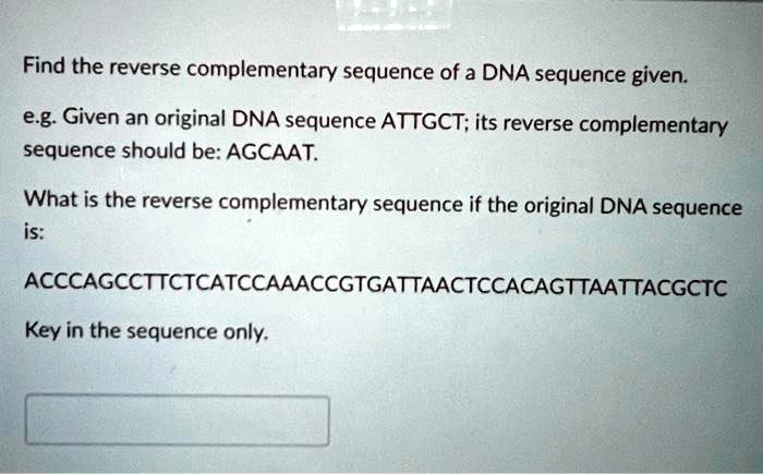 An Example Of The Reverse And Complementary Sequence A Dna Sequence Is An Example Of The Reverse And Complementary Sequence A Dna Sequence Is