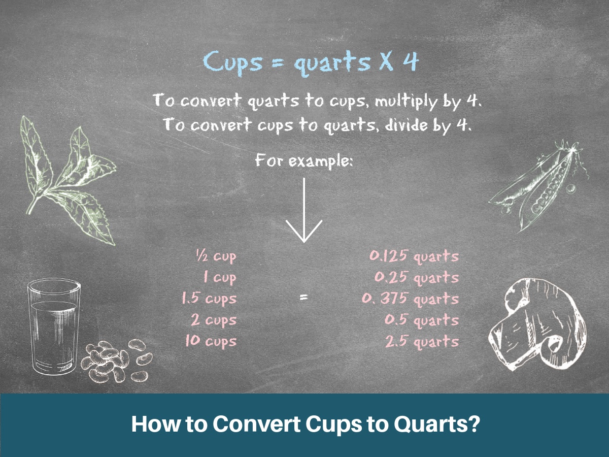 How Many Quarts is 5 Cups? Quick Conversion Guide