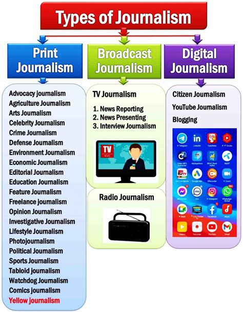 Types of Journalism: A Comprehensive Guide to Different Styles