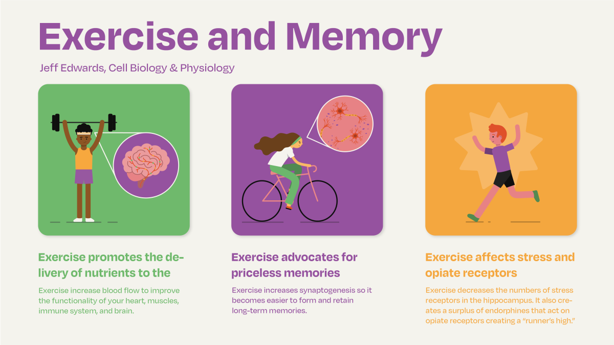 Unlocking The Mind Science Backed Secrets To Enhance Memory And Unlocking The Mind Science Backed Secrets To Enhance Memory And